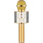Winex Bluetooth UsbA TF Sd Kart 3.5 mm Aux Girişli Gold Karaoke Mikrofonu