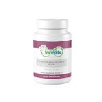 Winlife Probiyotik Mikroorganizma İnülin