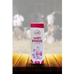 Winphos Mineral Ruminant Kanatlı İnek Koyun Kanatlı 100 ml Vitamin