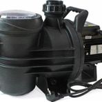 Winpo Wnp Pool-2 1.5M Havuz Pompası Monofaze 1.5HP