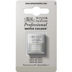 Winsor & Newton 0101217 Professional sulu boya, sanatçı kalitesinde canlı sulu boya, yüksek renk parlaklığı ve parlaklık, solmaz, arşiv kalitesi, 1/2 kap - Davy's gri