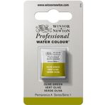 Winsor & Newton 0101447 Professional sulu boya, sanatçı kalitesinde canlı sulu boya, yüksek renk parlaklığı ve parlaklık, solmaz, arşiv kalitesi, 1/2 kap - zeytin yeşili