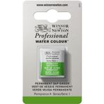 Winsor & Newton 0101503 Professional sulu boya, sanatçı kalitesinde canlı sulu boya, yüksek renk parlaklığı ve parlaklık, solmaz, arşiv kalitesi, 1/2 kap - kalıcı meyve suyu yeşili