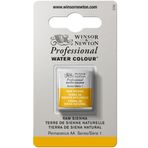 Winsor & Newton 0101552 Professional sulu boya, sanatçı kalitesinde canlı sulu boya, yüksek renk parlaklığı ve parlaklık, solmaz, arşiv kalitesi, 1/2 kap - Siena doğal