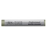 Winsor & Newton 0110217 Professional Watercolours (en iyi sanatçı sulu boya - mümkün olan en yüksek pigmentasyon çubukları, mükemmel ışık haslığı) davy's gri