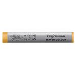 Winsor & Newton 0110319 Professional Watercolours (en iyi sanatçı sulu boya - mümkün olan en yüksek pigmentasyonun çubukları, mükemmel ışık haslığı) Hint sarısı