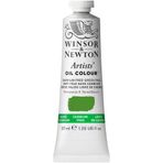 Winsor & Newton 1214897 Artists yağlı boya - 37 ml tüp, sanatçı - mümkün olan en yüksek pigmentasyonlu yağlı boya, en yüksek ışık haslığı - kadmiyum içermez, açık yeşil