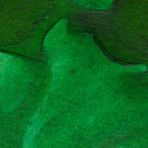 Winsor & Newton 14 ml 046 Brilliant Green Ink Çini Mürekkebi