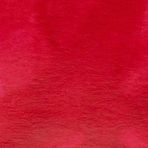 Winsor & Newton 14 ml 127 Carmine Ink Çini Mürekkebi