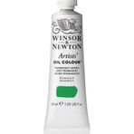 Winsor Newton Artists Permanent Green 481 S.2 37 ml Yağlı Boya