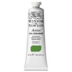 Winsor Newton Artists Sap Green 599 S.2 37 ml Yağlı Boya