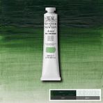 Winsor Newton Artists Terre Verte 637 S.1 200 ml Yağlı Boya