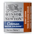 Winsor Newton Burnt Sienna 074 Yarım Tablet Sulu Boya