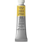 Winsor Newton Cadmium Yellow 108 S.4 5 ml Tüp Sulu Boya