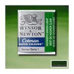 Winsor & Newton Cotman Green Light 314 Yarım Tablet Sulu Boya
