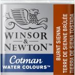 Winsor & Newton Cotman Yarım Tablet Sulu Boya Burnt Sienna 074 5 ml Sanatçılar İçin Yüksek Pigment