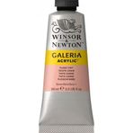 Winsor Newton Galeria Flesh Tint 257 120ml Akrilik Boya