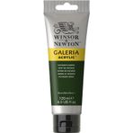Winsor Newton Galeria No:311 Hookers Green 120ml Akrilik Boya
