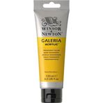 Winsor Newton Galeria Transparent Yellow 653 120ml Akrilik Boya
