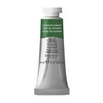 Winsor Newton Hooker's Green 311 S.1 14 ml Sulu Boya