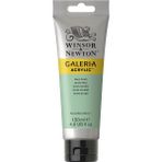 Winsor & Newton N:435 Galeria Akrilik Boya 120 ml Pale Olive