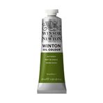Winsor & Newton N:599 Sap Green Yağlı Boya
