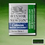 Winsor & Newton No:314 Hookers Green Light Tablet Sulu Boya