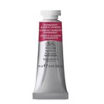 Winsor Newton Permanent Alizarin Crimson 466 S.3 14 ml Sulu Boya