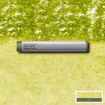 Winsor & Newton : Professional : Çubuk Sulu Boya : Olive Green 447 S.1