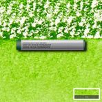 Winsor & Newton : Professional : Çubuk Sulu Boya : Permanent Sap Green 503 S.1