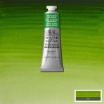 Winsor & Newton Professional Sulu Boya 37ML Permanent Sap Green 503 S.1