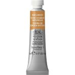 Winsor & Newton Professional Sulu Boya 5 ml Raw Umber 554 S.1