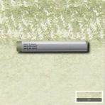 Winsor & Newton Professional Sulu Boya Çubuk Davy's Gray 217 S.1