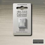 Winsor & Newton Professional Sulu Boya Yarım Tablet Davy’s Gray 217 S.1
