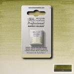 Winsor & Newton Professional Sulu Boya Yarım Tablet Terre Verte (Yellow Shade) 638 S.1