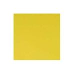 Winsor Newton Profesyonel Akrilik Boya Cadmium Lemon