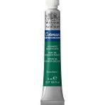 Winsor & Newton Sulu Boya 8ml Hooker's Green Dark 312