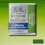 Winsor & Newton Winsor Newton Tablet Sulu Boya No : 599 Sap Green