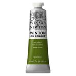 Winsor Newton Winton 37 ml Sap Green 599 37 Yağlı Boya