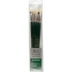 Winsor & Newton : Winton : Uzun Sap Fırça Seti : 5' Li