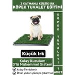 Wintoup Yeşil Küçük Irk Yavru Köpek Tuvaleti