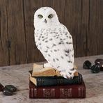 Wise Biblolar - Wise Hayvanlar Alemi Kitap Üstünde Kar Baykuşu Biblo Dekoratif Obje 11×11,5×17,5 CM