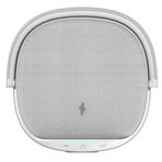 Wiwu Y1 Bluetooth Hoparlör Gri