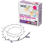 Wiz Rgb Akıllı Süsleme Işıkları - Yılbaşı Işıkları 20 Metre - 10 - 20 W