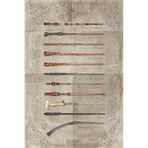 Wizarding World Harry Potter-The Wand Chooses The Wizard Maxi Poster, Çok Renkli, 61 x 91,5 cm
