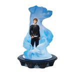 Wizarding World of Harry Potter Ron and Patronus Figürü