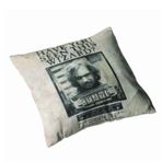 Wizarding World PILLS024 Have You Seen This Wizard Harry Potter Yastık
