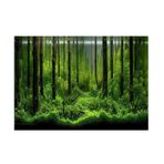Wnvivi Akvaryum Posteri, PVC Yapışkanlı Sualtı Ormanı Akvaryum Dekoru, Akvaryum Arka Plan Posteri, Akvaryum Fon Dekorasyon Kağıdı (61 x 30 cm)