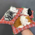 Wolawood Sesli Miyavlayan Uyuyan Peluş Kedi Ev, Oda, Oto & Araba Torpido Süsü Minderli Sevimli Yastıkta Uyuyan Kedi Sesli Yavru Kedi Figürü Dekoratif Aksesuar (1 Adet Rastgele Renk)