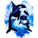 Womb Hobby Orca Sayılarla Boyama Seti 40X50 cm Tuvale Gerili - Standart